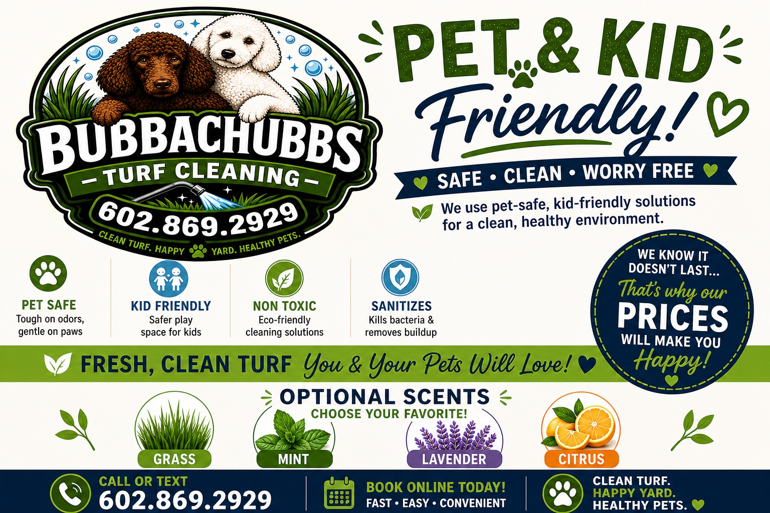 Bubbachubbs Turf Cleaning